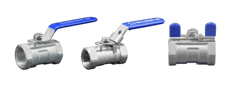 Ss Stainless Steel 2PC Ball Valves