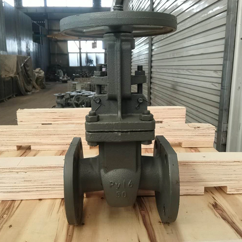 Stainless Steel 304 CF8 Gate Valve Pn25 Pressure Single Direction Flow for Water&Oil