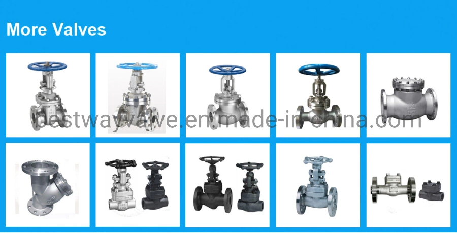 ANSI 150lb CF8/304 CF8m/316 Bolted Bonnet Stainless Steel Flange Gate Valve