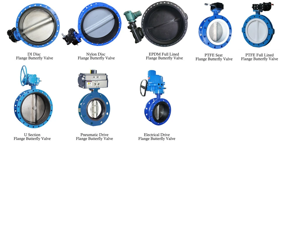 Cast/Ductile Iron Di Ci Stainless Steel Body EPDM/NBR/PTFE Seat Electrical Actuator Driver Pn10 Pn16 150lb Flange Gate Sluice and Butterfly Valve